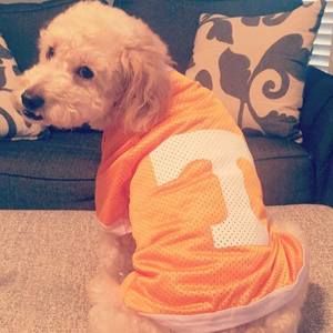 Meet your Posher, Cameron